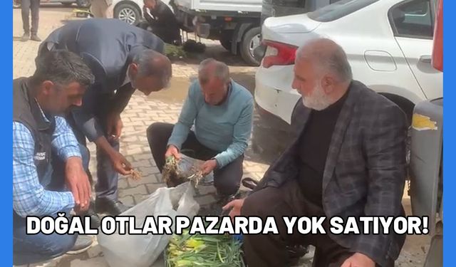 Doğal Otlar Pazarda Yok Satıyor!