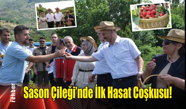Sason Çileği'nde İlk Hasat Coşkusu!