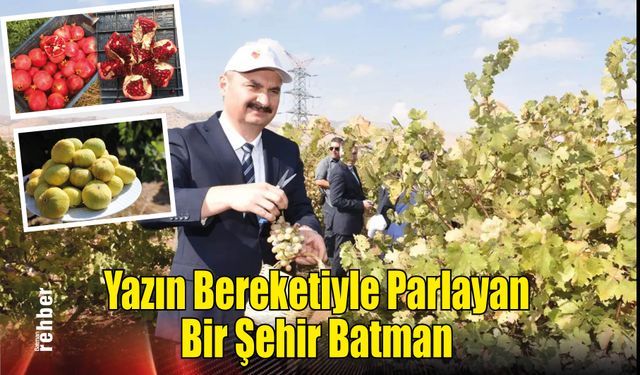 Yazın Bereketiyle Parlayan Bir Şehir, Batman