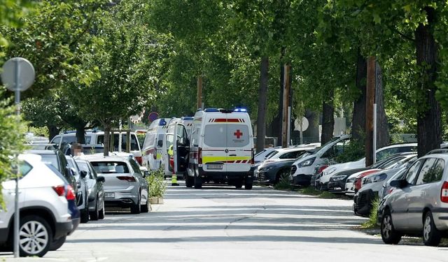 Avusturya'da okula saldırı: 10 ölü