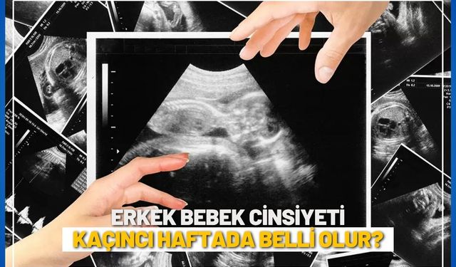 Erkek bebek cinsiyeti kaçıncı haftada belli olur?