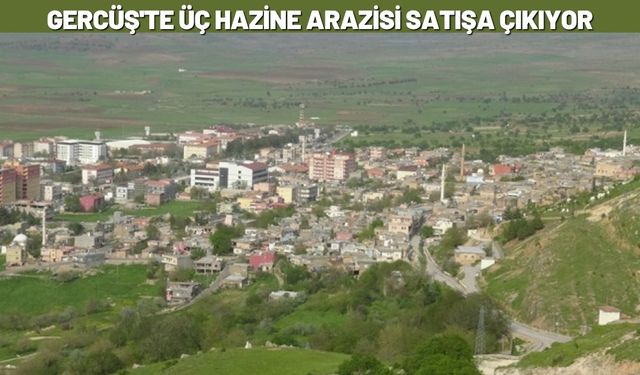 Gercüş'te Üç Hazine Arazisi Satışa Çıkıyor