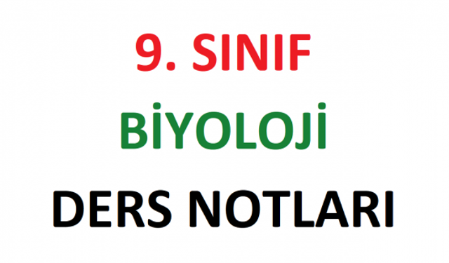 9. sınıf biyoloji 1. dönem çalışma kağıdı