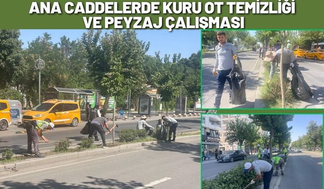 Batman’da Ana Caddelerde Kuru Ot Temizliği ve Peyzaj Çalışması