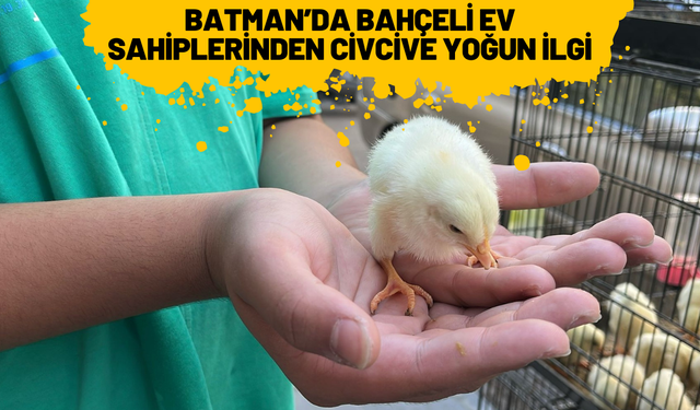 Batman’da Bahçeli Ev Sahiplerinden Civcive Yoğun İlgi
