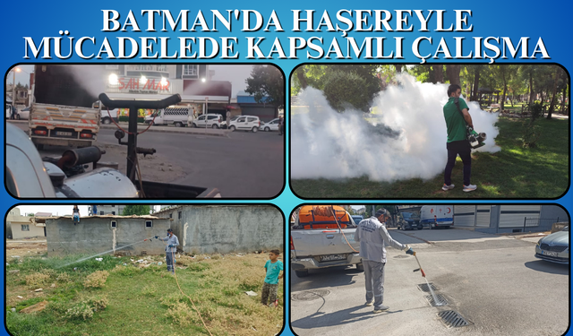 Batman'da Haşereyle Mücadelede Kapsamlı Çalışma