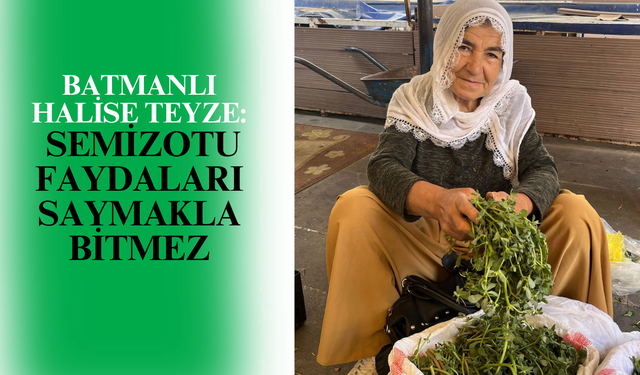 Batmanlı Halise Teyze: Semizotu faydası Saymakla Bitmez