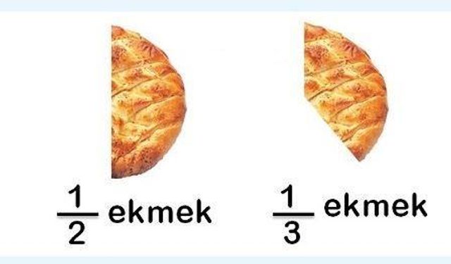 Bir bütünün eş parçalarından her birine ne denir?
