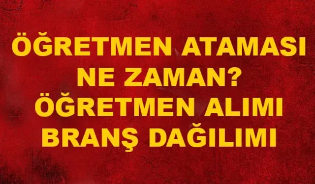 Öğretmen ataması branş dağılımı