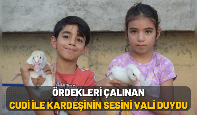 Ördekleri Çalınan Cudi ile Kardeşinin Sesini Vali Duydu