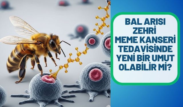 Bal Arısı Zehri Meme Kanseri Tedavisinde Yeni Bir Umut Olabilir mi?