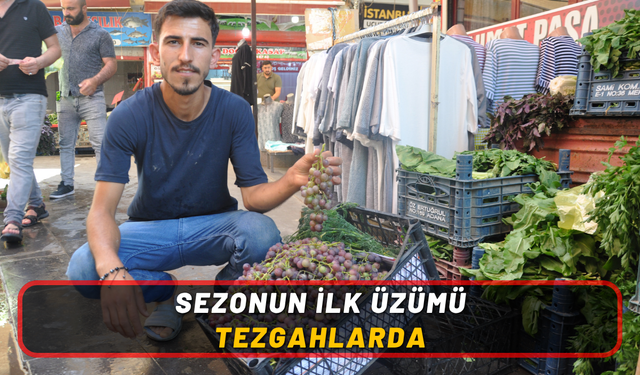 Sezonun İlk Üzümü Tezgahlarda