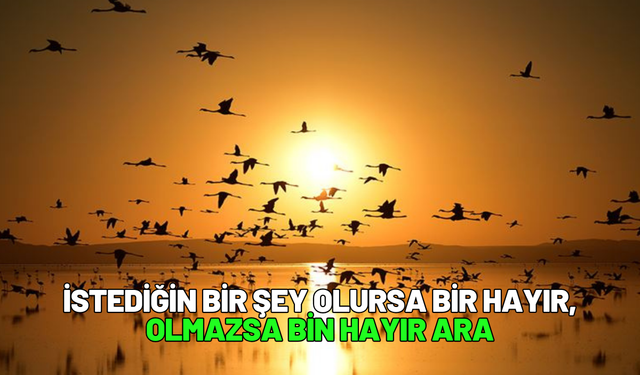 İstediğin bir şey olursa bir hayır, olmazsa bin hayır ara