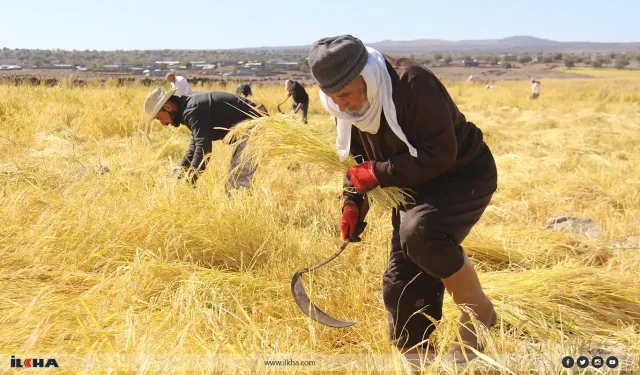 Tehma ku ji Qerejdaxê digihîje sifreya we: Birincê Qerejdaxê