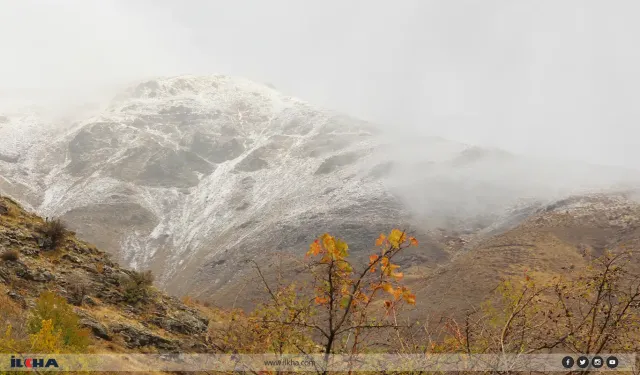 Li çîyayên Dîyarbekirê berfa ewil a demsalê ket xwarê