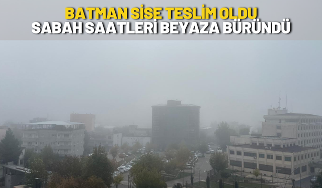 Batman Sise Teslim Oldu Sabah Saatleri Beyaza Büründü