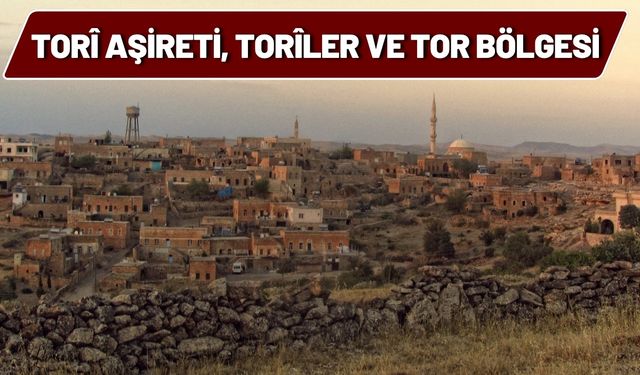Tori Aşireti, Toriler ve Tor Bölgesi