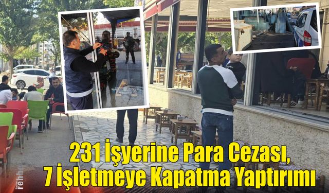 231 İşyerine Para Cezası, 7 İşletmeye Kapatma Yaptırımı
