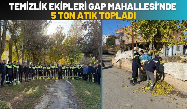 Temizlik Ekipleri Gap Mahallesi’nde 5 Ton Atık Topladı