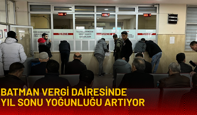 Batman Vergi Dairesinde Yıl Sonu Yoğunluğu Artıyor