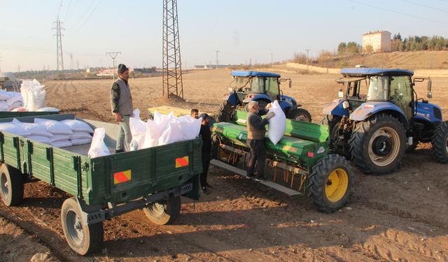 Batman'da buğday ekimine başlayan çiftçi kuraklık endişesi yaşıyor