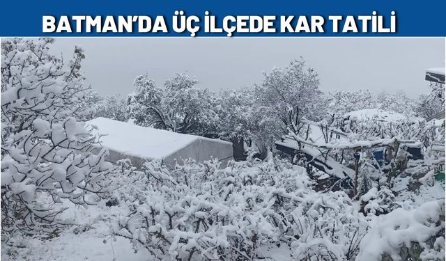 Batman’da Üç İlçede Kar Tatili