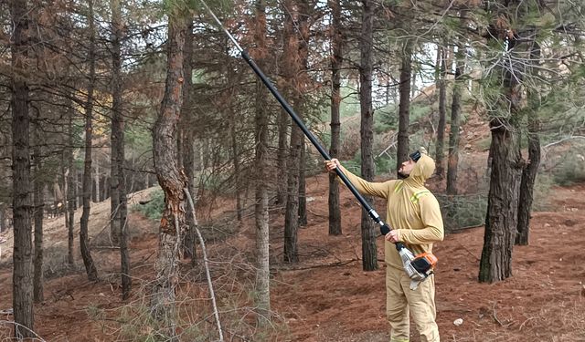 Beşiri’de Çam Ağaçlarına "Nefes" Operasyonu