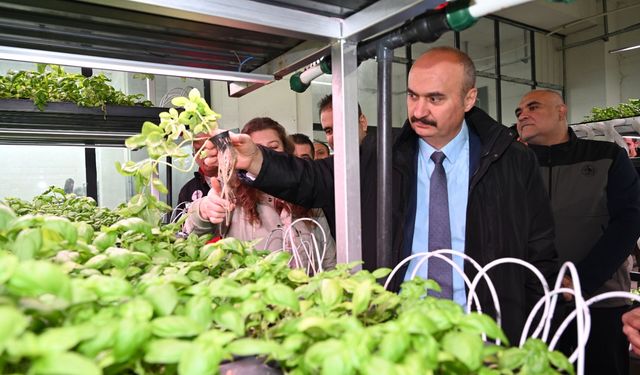 Vali Canalp, Topraksız Tarım Tesisinde İncelemelerde Bulundu