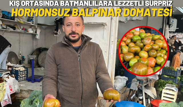 Kış Ortasında Batmanlılara Lezzetli Sürpriz: Hormonsuz Balpınar Domatesi