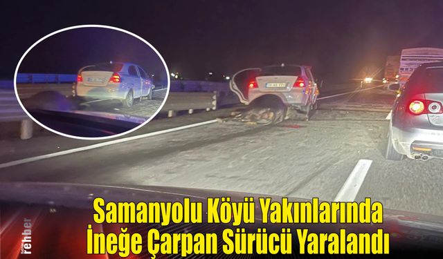 Samanyolu Köyü Yakınlarında İneğe Çarpan Sürücü Yaralandı