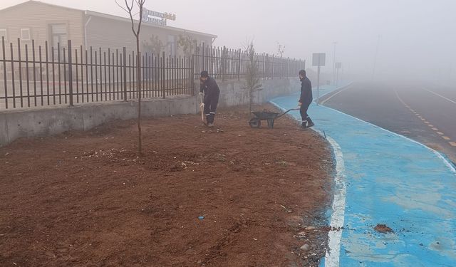 Sürücü Akademisi Yeşilleniyor