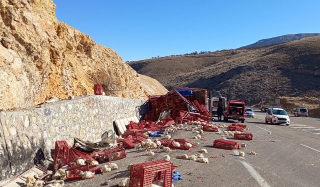 Tavuk yüklü kamyon devrildi: Yüzlerce hayvan telef oldu, sürücü yaralandı