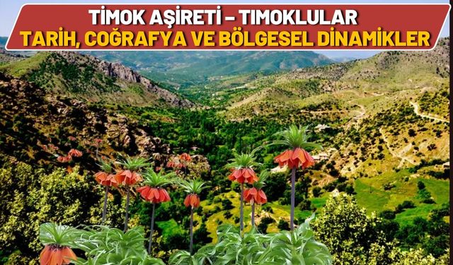 Timok Aşireti – Timoklular Tarih, Coğrafya ve Bölgesel Dinamikler