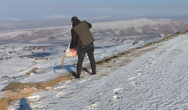 Batman'da doğaya tonlarca yem bırakıldı