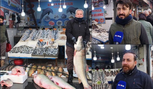 Batman'da soğuk hava balık tezgâhlarını vurdu