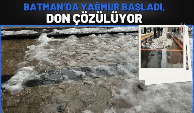 Batman’da Yağmur Başladı, Don Çözülüyor