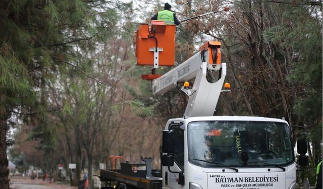 Belediyeden Ağaçlara Kapsamlı Bakım
