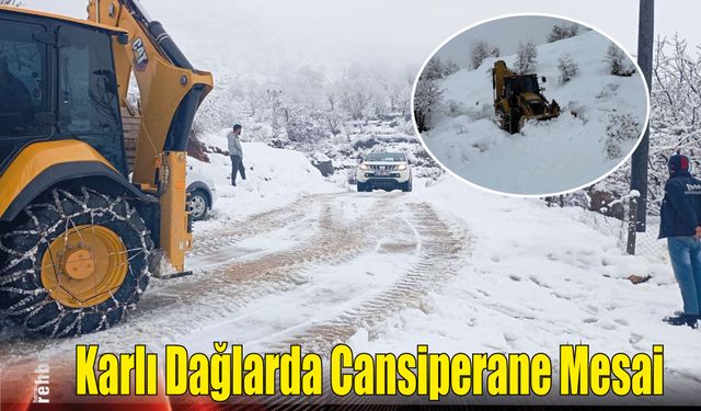 Karlı Dağlarda Cansiperane Mesai