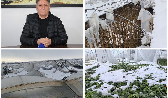 Şiddetli kar ve don Batman tarımını vurdu: Tonlarca sebze zarar gördü