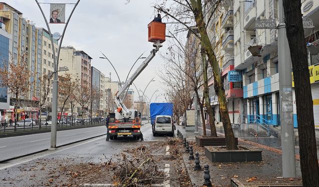 Batman’da Güvenli Ulaşım İçin "Budama" Seferberliği