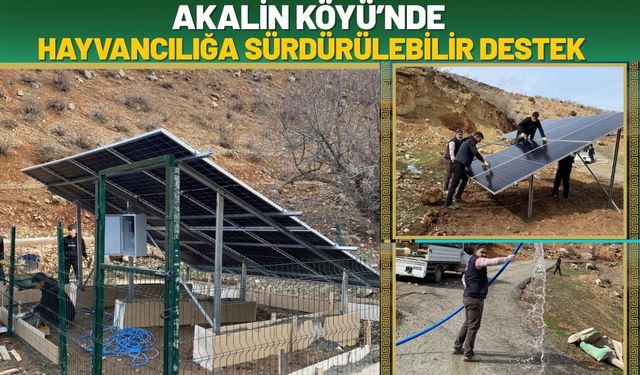 Akalin Köyü’nde Hayvancılığa Sürdürülebilir Destek