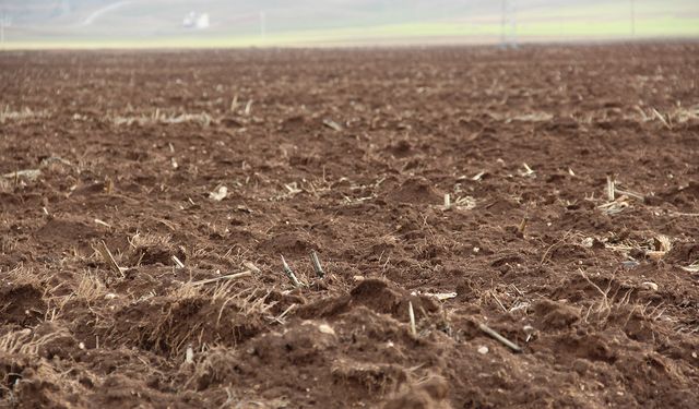 Hunharca tükettiğimiz hayat kaynağı toprağı korumak zorundayız