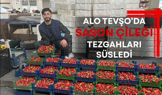 Alo Tevşo’da Sason Çileği Tezgahları Süsledi