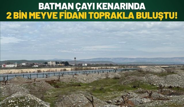 Batman Çayı Kenarında 2 Bin Meyve Fidanı Toprakla Buluştu!
