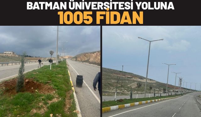 Batman Üniversitesi Yoluna 1005 Fidan