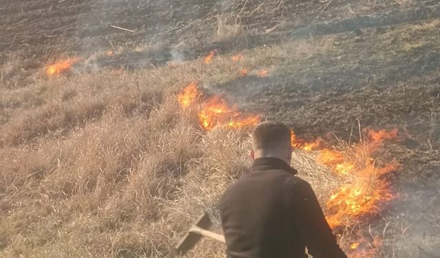 Batman'da anız yangını söndürüldü