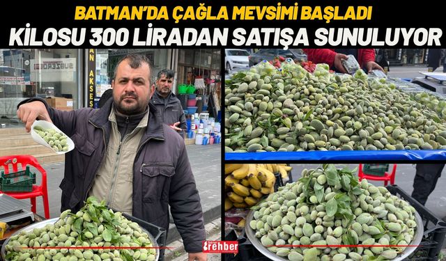 Batman’da Çağla Mevsimi Başladı: Kilosu 300 Liradan Satışa Sunuluyor