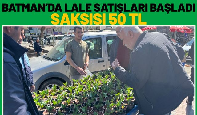 Batman’da Lale Satışları Başladı: Saksısı 50 TL