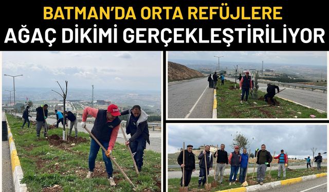 Batman’da Orta Refüjlerde Ağaçlandırma Çalışması Başlatıldı