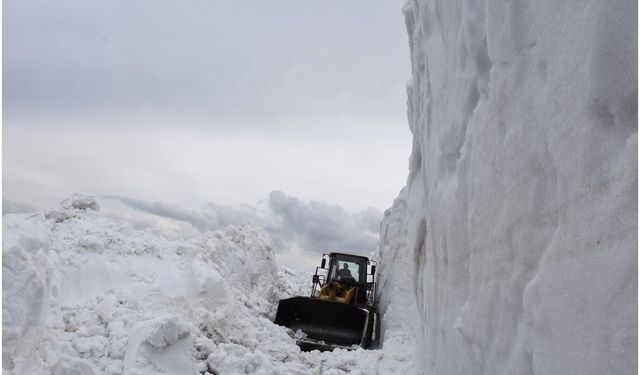 Bitlis'e bu sezon yağan kar miktarı 8 metreyi buldu